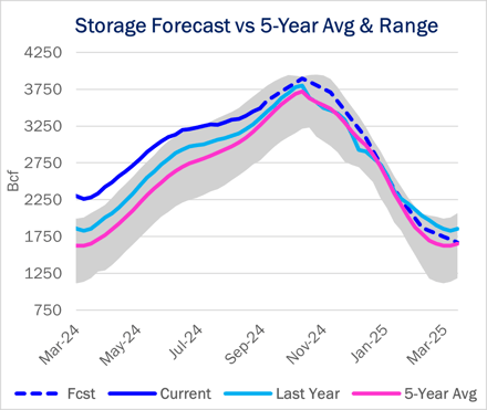 ngw storage 10.17