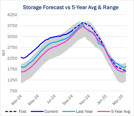 ngw storage 10.3