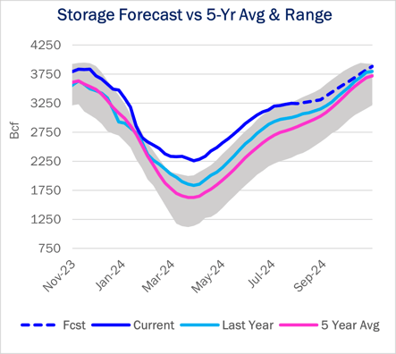 ngw storage 8.22