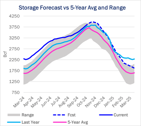 storage 12.12 ngw