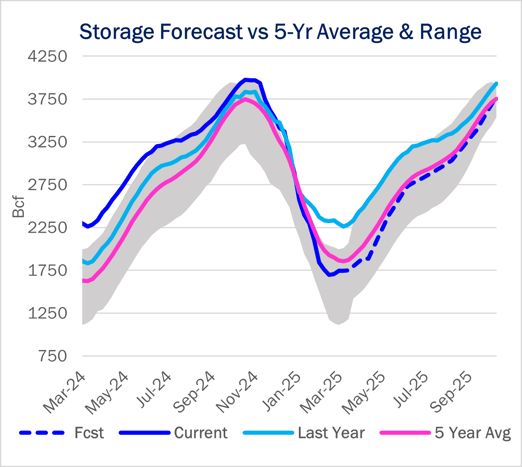 storage 4.16 ngw