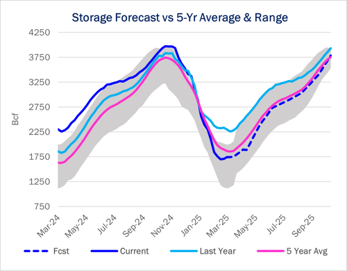 storage 4.9 ngw
