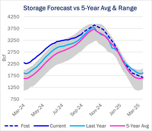 storage ngw 10.31