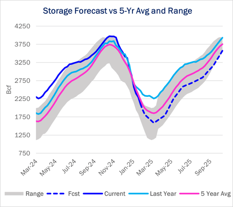 storage ngw 3.6