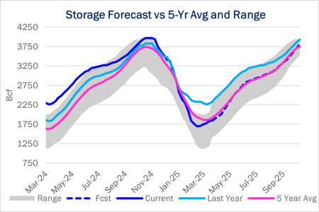 storage ngw 5.19