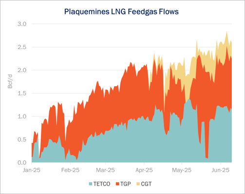 Plaquemines Flows-1